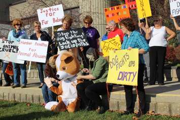 Protesters enact animal cruelty outside of the Chatham Courthouse. November 5, 2015. (Photo by Matt Weverink)