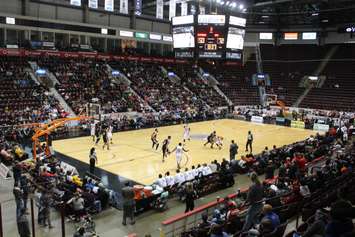 Windsor Express vs Raptors 905 exhibition game at the WFCU Centre on November 5, 2015. (Photo by Ricardo Veneza)