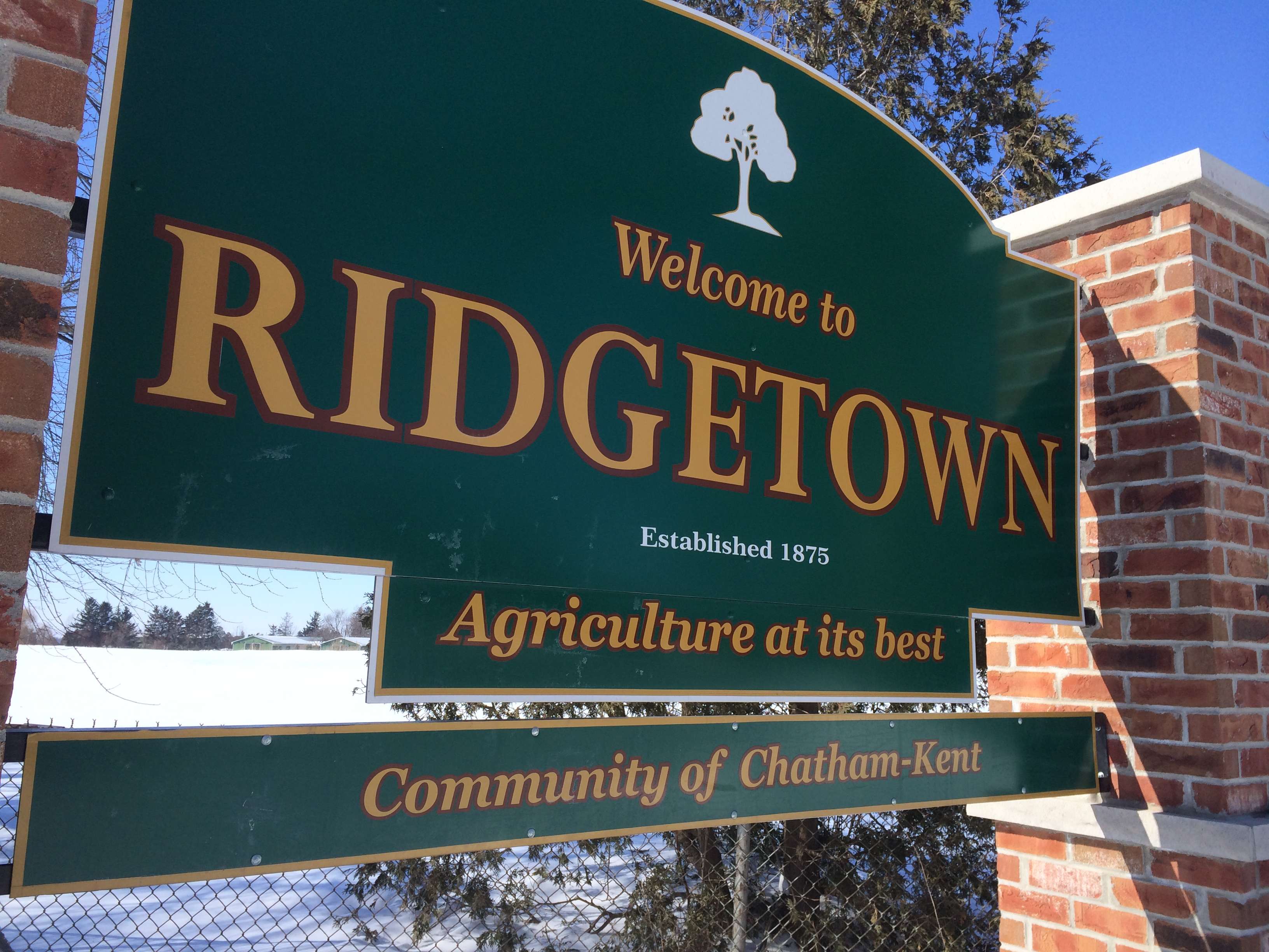 CK council takes steps to bring high-speed internet to Ridgetown
