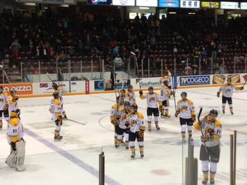 The Sting salutes the fans following its first home win of the 20th anniversary season, 3-1 over Saginaw Oct 10, 2014 (BlackburnNews.com photo)
