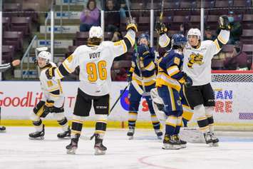 Sting forward Ty Voit celebrates a goal versus Erie. November 7, 2021.  (Metcalfe Photography)
