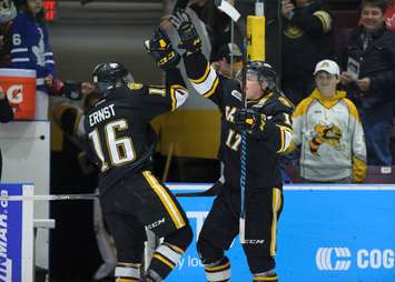 The Sarnia Sting beat the Flint Firebirds 7-1 led by 2 goals and an assist from Sean Josling. January 6, 2018. (Photo courtesy of Metcalfe Photography)