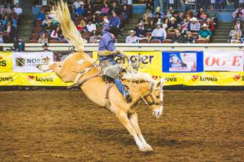 Foster competing in the saddle bronc riding competition, the other event he takes part it. January 2018. (Photo courtesy of Emily Gethke Photography)