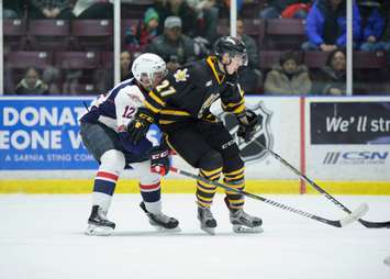 The Sarnia Sting take on the Windsor Spitfires, January 12, 2018. (Photo courtesy of Metcalfe Photography)