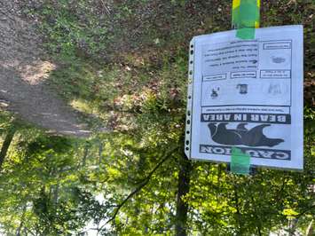 A sign posted in the Huron Woods community in Grand Bend cautions that a bear is in the area. June, 2021. Photo by Erik Nyman