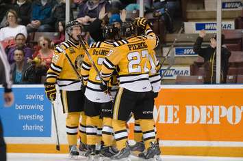 The Sarnia Sting take on the North Bay Battalion, December 5, 2014. (Photo courtesy of Metcalfe Photography)