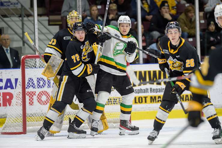London Knights at Sarnia Sting January 10, 2024. Photo by Metcalfe Photography. 
