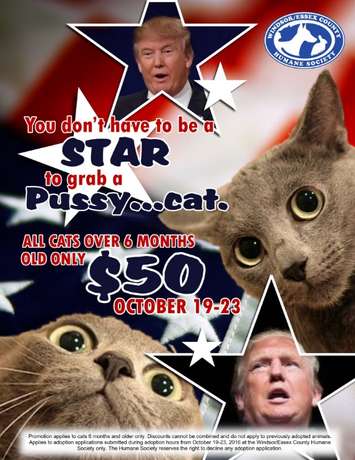 Windsor-Essex County Humane Society ad it had posted to Twitter and Facebook, October 19, 2016. (Photo take from Windsor-Essex County Humane Society Facebook page)