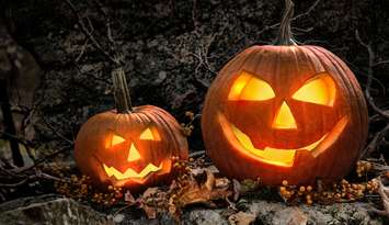 © Can Stock Photo Inc. / Sandralise