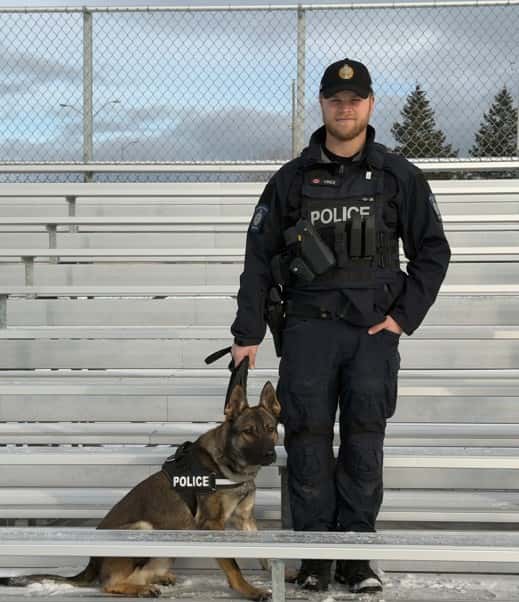 Shadow helps nab pair of suspects