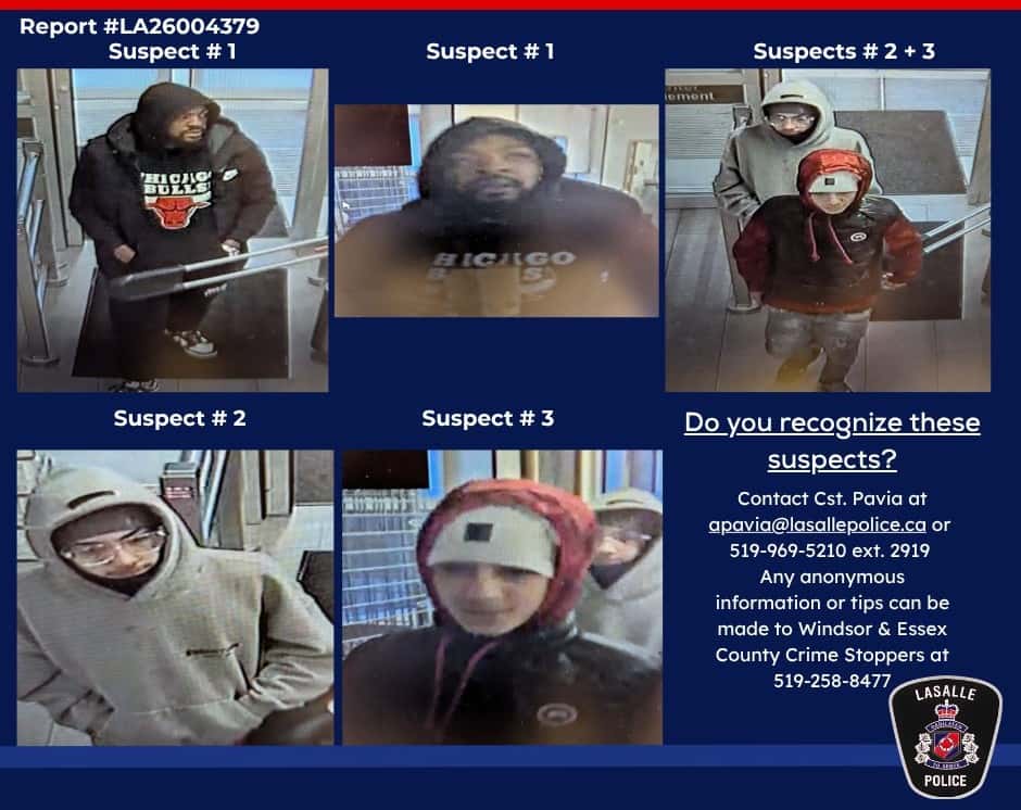 LaSalle police seek help in identifying retail theft suspects