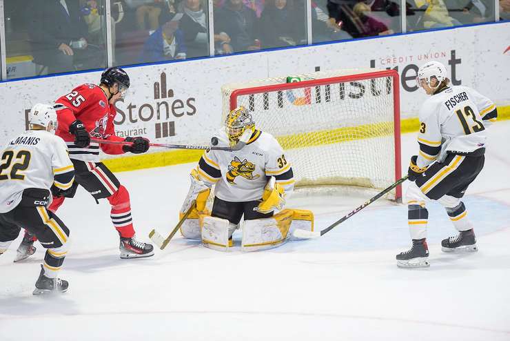 Sarnia Sting vs Niagara IceDogs October 29, 2023. Photo by Metcalfe Photography. 