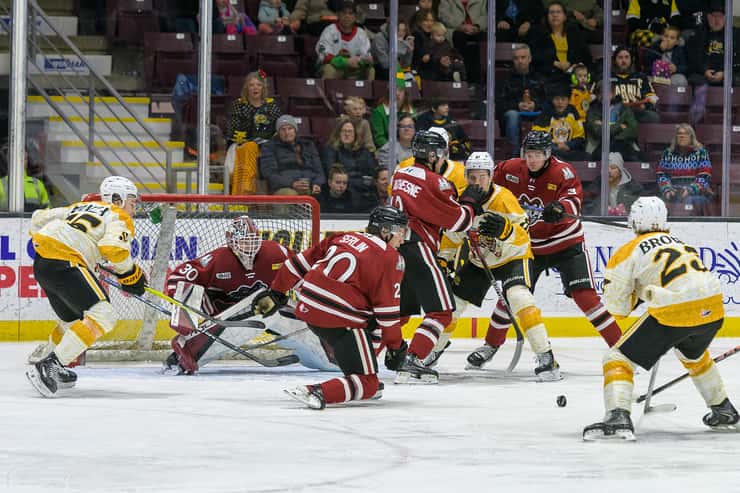 Guelph Storm at Sarnia Sting, December 14, 2025. Photo by Metcalfe Photography. 