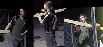 Screenshot of suspect accused of damaging parking gate. Video posted July 9, 2025. (Courtesy of Sarnia Police Service via X)