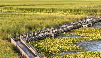 Point Pelee National Park. Jan 25, 2019. (Photo courtesy of Point Pelee National Park)