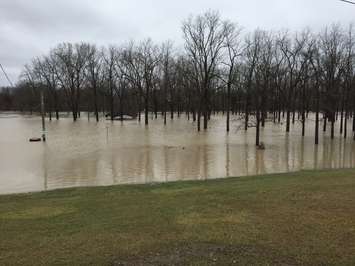 Flooding at Bridgeview Park in Petrolia. February 21, 2018 (Photo by Melanie Irwin)