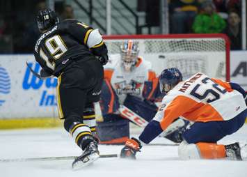 The Sarnia Sting beat the Flint Firebirds 7-1 led by 2 goals and an assist from Sean Josling. January 6, 2018. (Photo courtesy of Metcalfe Photography)