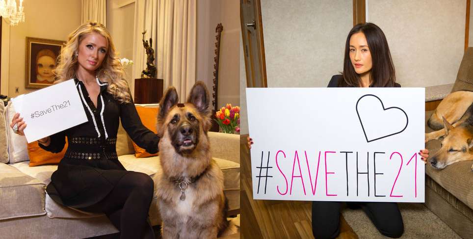 Celebs Urge Stay Of Execution For Alleged Fighting Dogs