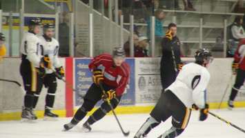 The Sarnia Sting practice at the Chatham Memorial Arena on March 18 2015 (Photo by Jake Kislinsky)