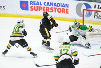 The Sarnia Sting hosting the London Knights.  20 March 2022.  (Metcalfe Photography)