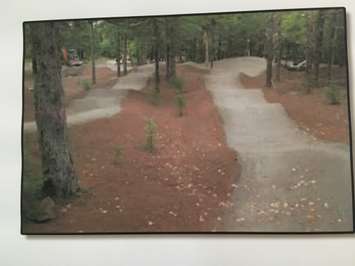 The City of Windsor is looking to expand off-road biking at Malden Park and Little River Corridor Park. (Photo by Paul Pedro) 