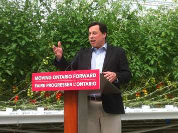Minister of Economic Development, Infrastrucutre, and Jobs Brad Duguid makes an announcement at a Leamington greenhouse April 24, 2015. (Photo by Kevin Black)