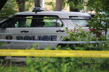 Police investigate an apparent homicide in the 500 block of Brant St., June 4, 2015. (Photo by Jason Viau)