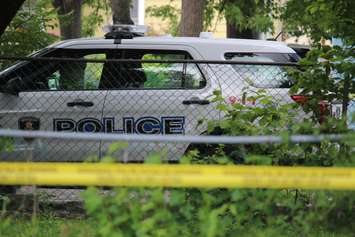 Police investigate an apparent homicide in the 500 block of Brant St., June 4, 2015. (Photo by Jason Viau)