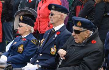 Veterans sit and watch as the Remembrance Day ceremony in Port Elgin commences. (Photo by Jordan Mackinnon)