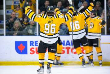 The Sarnia Sting taking on the London Knights. 18 February 2023. (Metcalfe Photography)