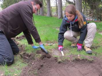 Western University students, Peter Dobrzynski and Alyssa Szilagyi uncovering Confederation-era tombstones at Woodland Cemetery, May 11, 2017. (Photo by Miranda Chant, Blackburn News.)
