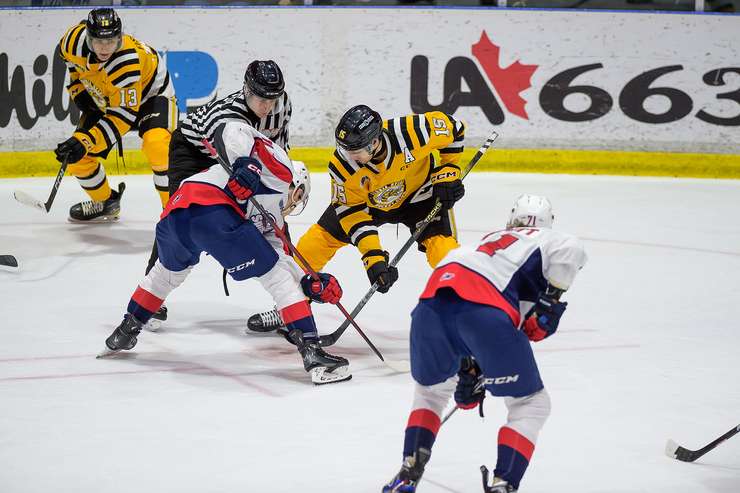 Sarnia Sting home to the Windsor Spitfires February 4, 2024. Photo by Metcalfe Photography. 