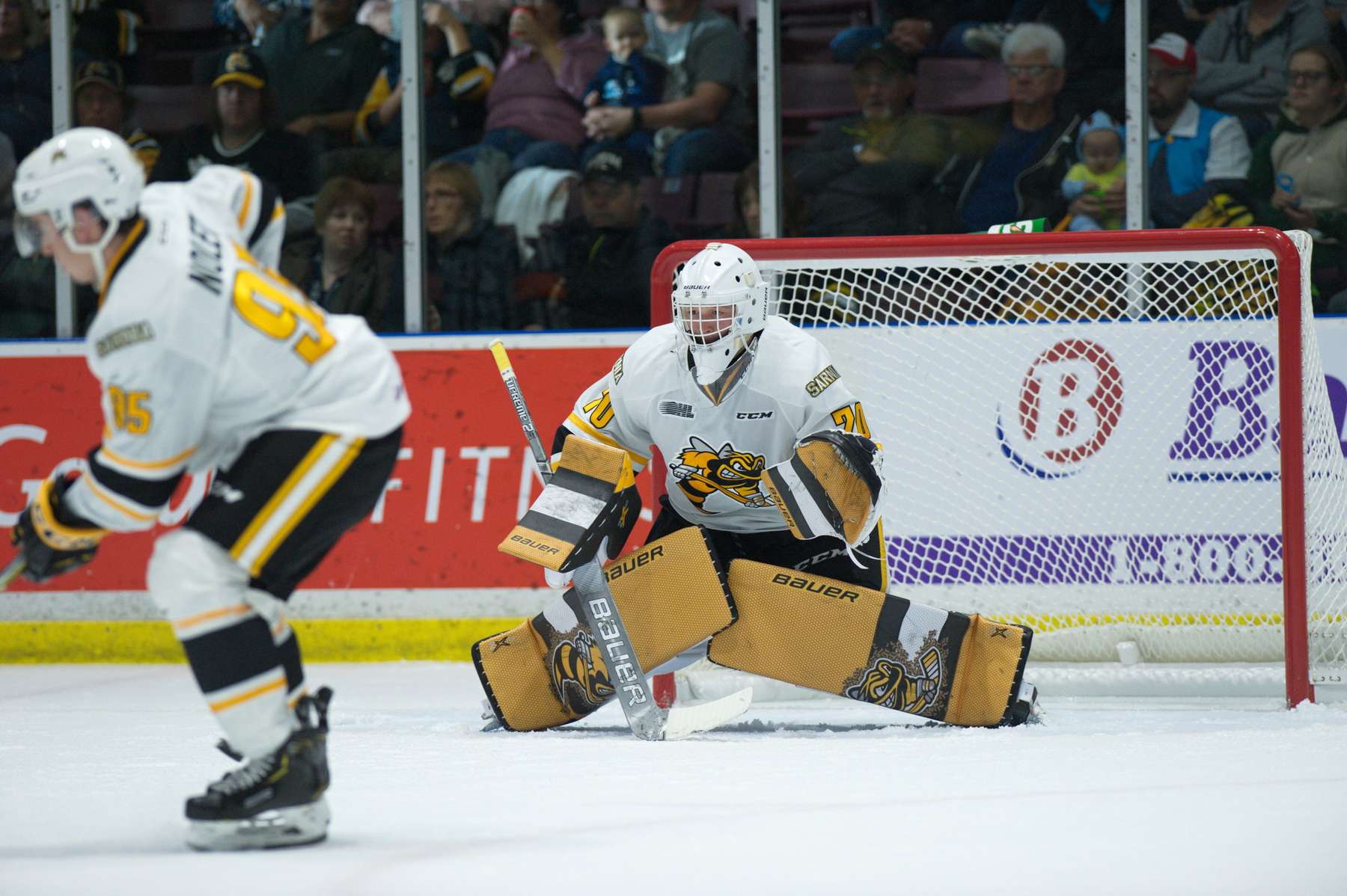Sting GM happy for drafted players, motivated for upcoming season