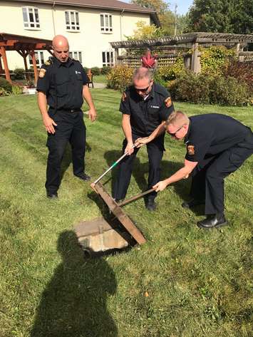 Sarnia Fire and Rescue Services save a kitten from a sewer. October 19, 2017 (Photo courtesy of @SarniaFire Twitter) 