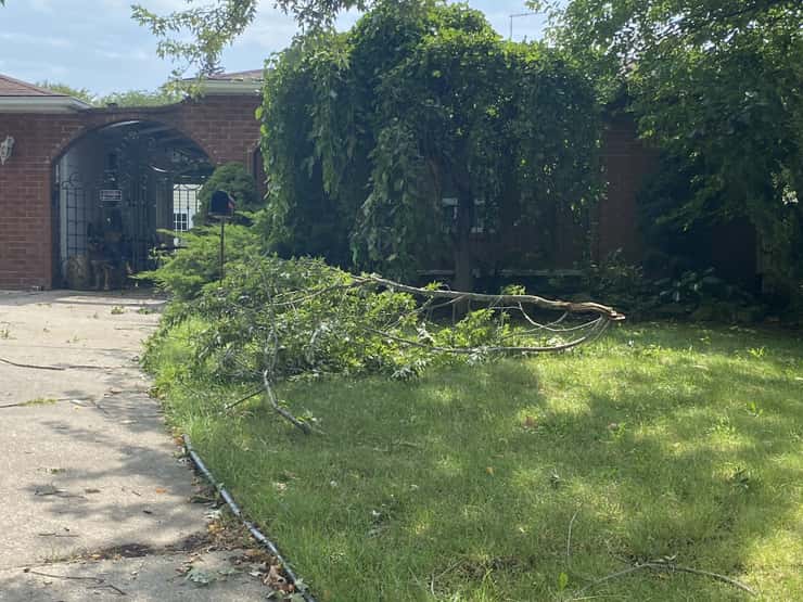 Storm damage is shown in Windsor's Forest Glade area, September 3, 2026. Photo by Adelle Loiselle/WindsorNewsToday.ca