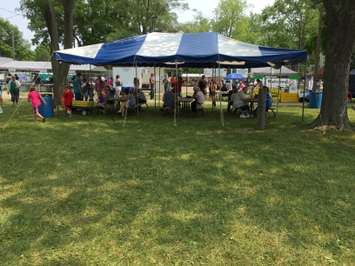 Residents from Thamesville and the surrounding area attend the 40th annual Threshing Festival in Thamesville, July 4, 2015. (Photo by the Blackburn Radio Summer Patrol)