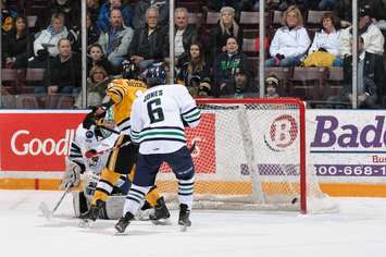 Sting wins In OT over Plymouth on Nikita Korostelev's goal. (Photo courtesy of Metcalfe Photography)