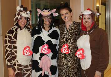 Bluewater Health workers dressed up as Beanie Babies. October 31, 2018. (Photo by BWH)