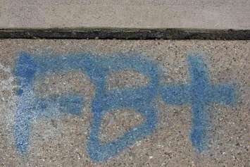 Germain Park Vandalism. March 2016. Photo submitted by Sarnia Police Services.