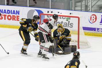 Sarnia Sting vs Guelph Storm Feb 9, 2022. Photo courtesy of Metcalfe Photography. 