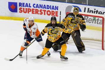 The Sarnia Sting hosting the Flint Firebirds.  25 February 2022. (Metcalfe Photography)