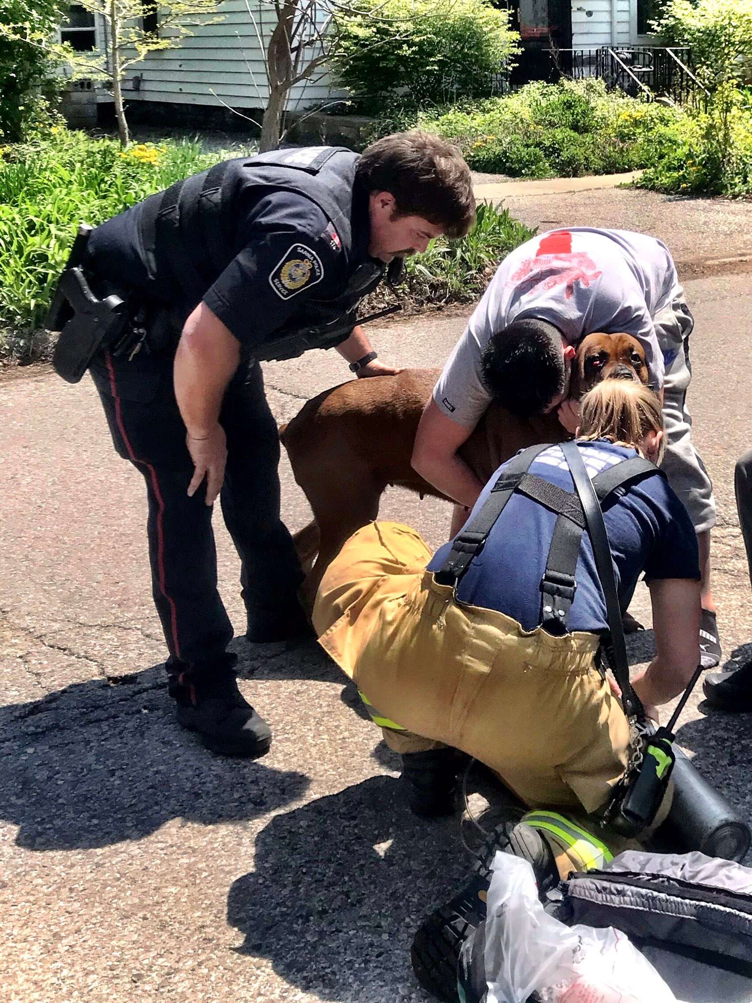 Firefighters rescue family dog from burning home 