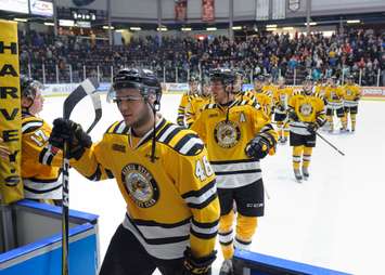 The Sarnia Sting beat the Greyhounds 5-3, handing the Soo their 1st reg. loss in 30 games. January 19, 2018. (Photo courtesy of Metcalfe Photography)
