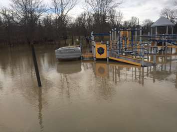 Flooding at Alexandra Park in Strathroy. February 21, 2018 (Photo by Melanie Irwin)