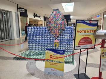 CANstruction Mar 5, 2023. Blackburn Media photo by Stephanie Chaves.