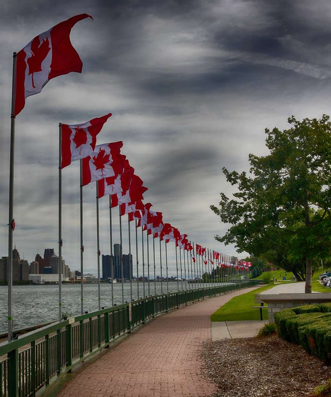 Veterans Voices of Canada-Flags of Remembrance tribute site in Windsor. (Photo courtesy of Edwin Goodfellow through Terri Davis-Fitzpatrick Facebook)