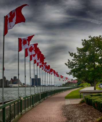 Veterans Voices of Canada-Flags of Remembrance tribute site in Windsor. (Photo courtesy of Edwin Goodfellow through Terri Davis-Fitzpatrick Facebook)
