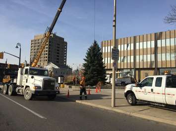 Christmas Tree placed at Sarnia City Hall Nov 17, 2015. BlackburnNews.com photo by Briana Carnegie.