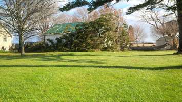 A downed tree at a home near Hwy. 3 and Kentbridge Rd. in Chatham on November 24, 2014. (Photo submitted by LouLou via email)