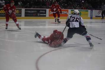 The Windsor Spitfires lose 2-4 against the Sault Ste Marie Greyhounds on November 16, 2014 at the WFCU Centre. (Photo by Jason Viau)